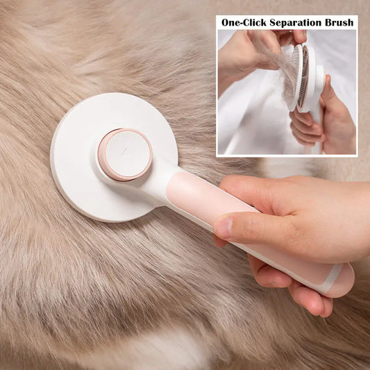 Pet Brush